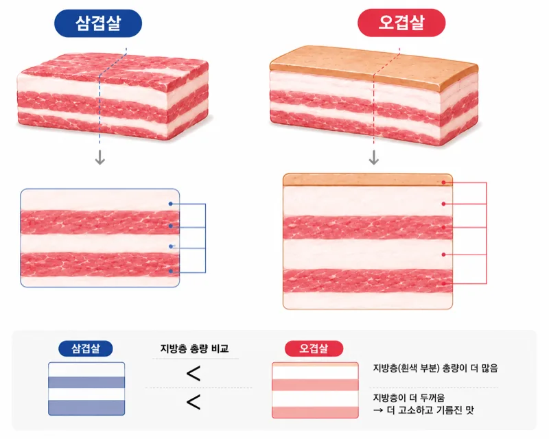 삼겹살과 오겹살 단면 비교 도식 — 삼겹은 3개 층, 오겹은 껍데기 쪽 지방층이 한 줄 더 얹어진 5개 층